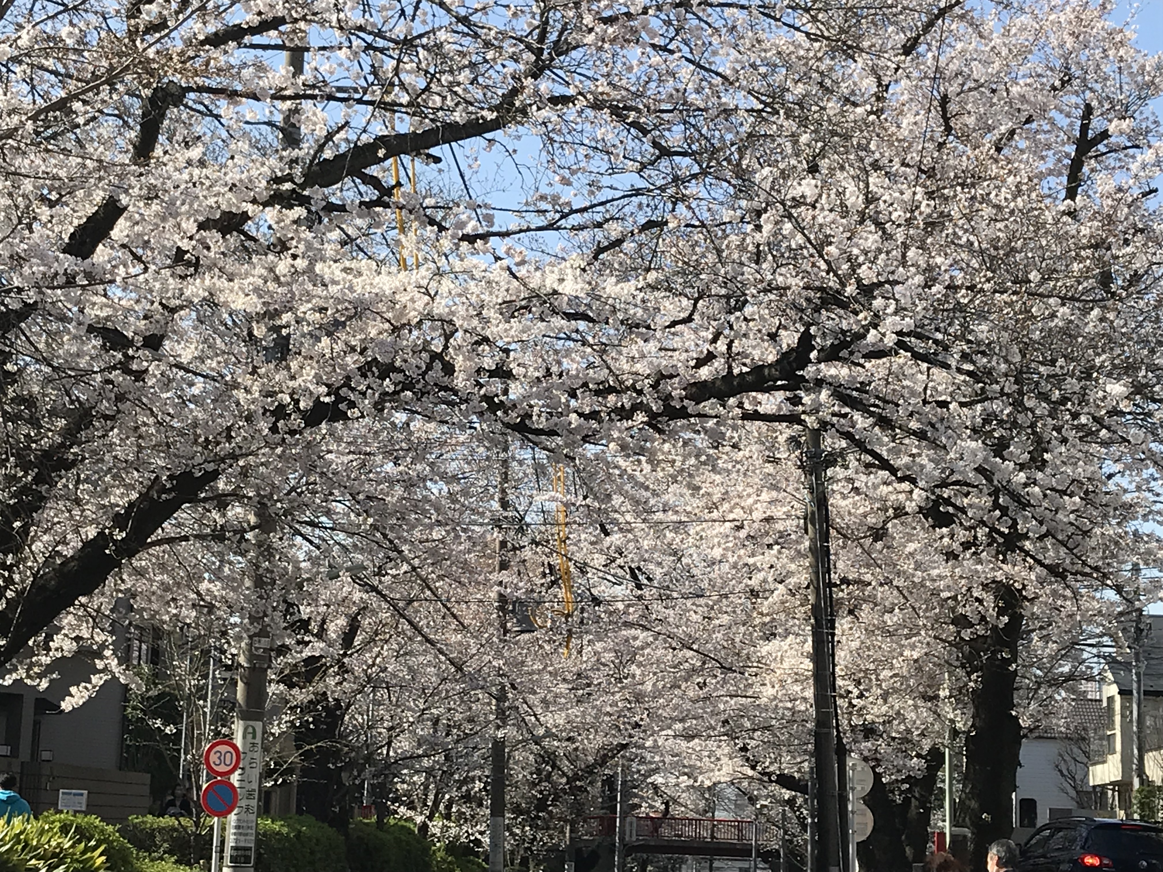 ○○○○○○○○イメージ